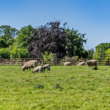 1 Bed In Ripon Oc-hh021 Tatil Evi Bishop Monkton